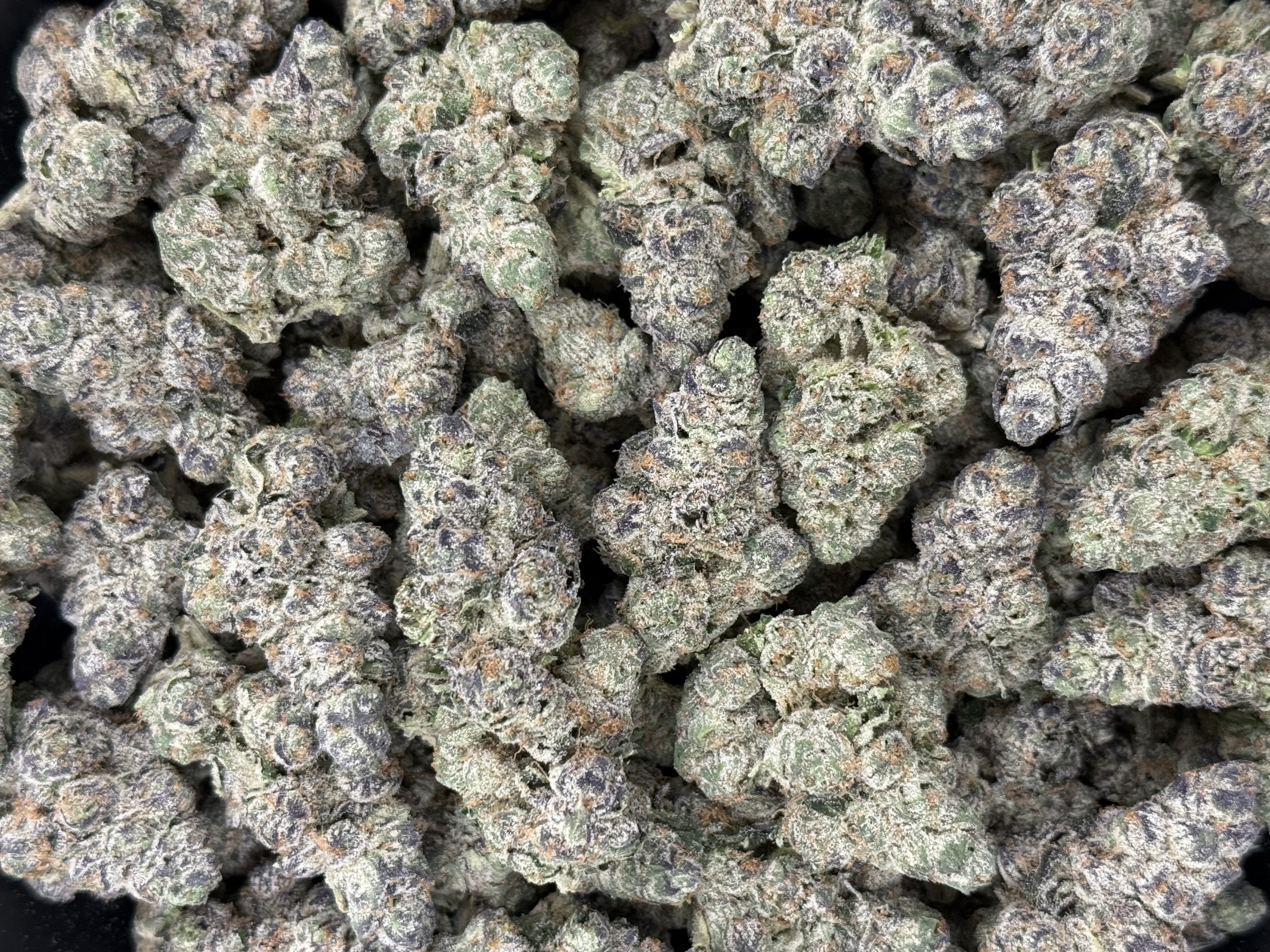 Flower - Indoor Bigs