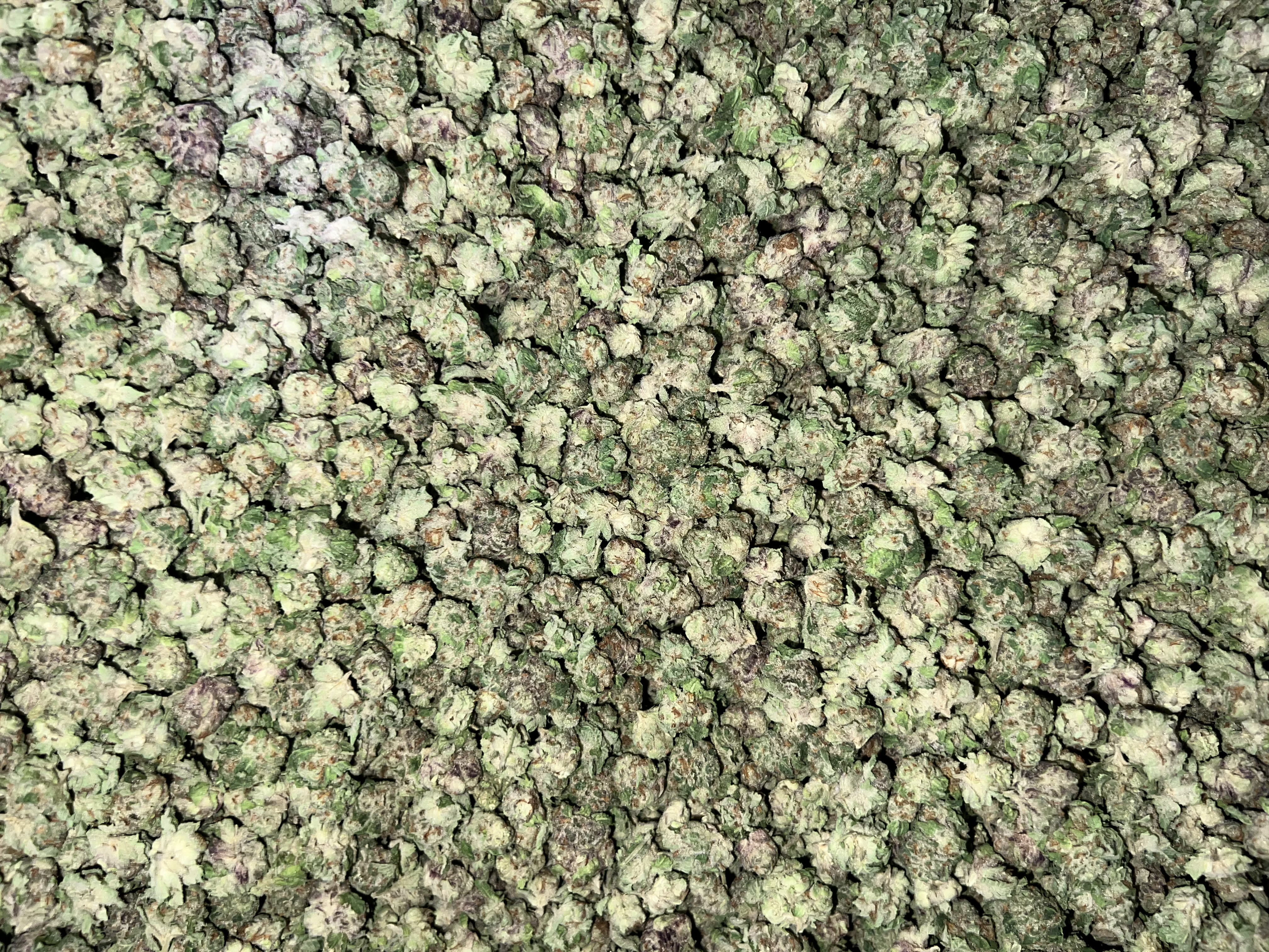 Flower - Indoor Smalls